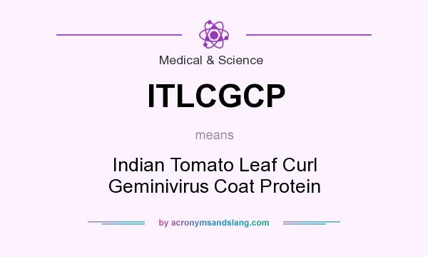 What does ITLCGCP mean? It stands for Indian Tomato Leaf Curl Geminivirus Coat Protein