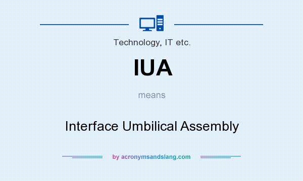 What does IUA mean? It stands for Interface Umbilical Assembly