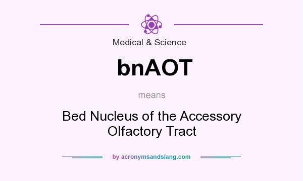 What does bnAOT mean? It stands for Bed Nucleus of the Accessory Olfactory Tract