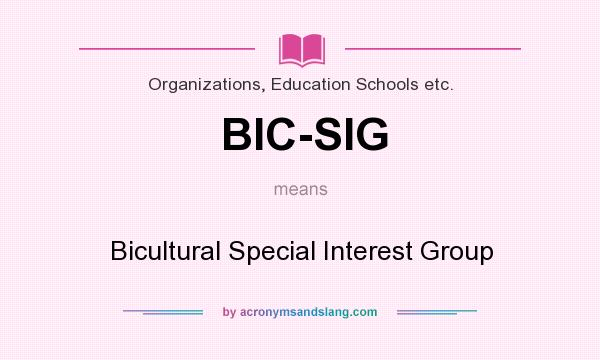 What does BIC-SIG mean? It stands for Bicultural Special Interest Group