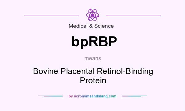 What does bpRBP mean? It stands for Bovine Placental Retinol-Binding Protein
