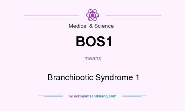 What does BOS1 mean? It stands for Branchiootic Syndrome 1