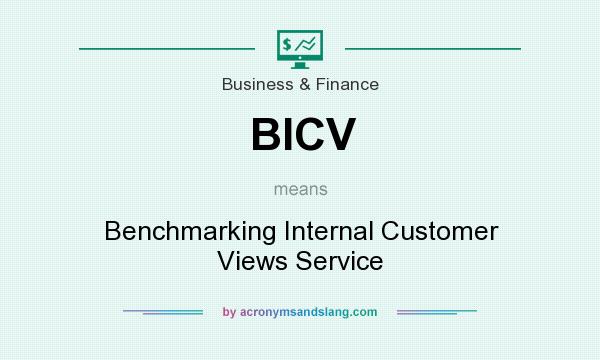 What does BICV mean? It stands for Benchmarking Internal Customer Views Service