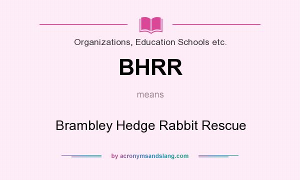 What does BHRR mean? It stands for Brambley Hedge Rabbit Rescue