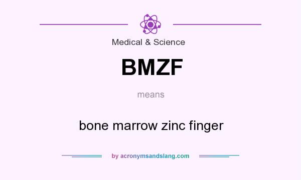 What does BMZF mean? It stands for bone marrow zinc finger