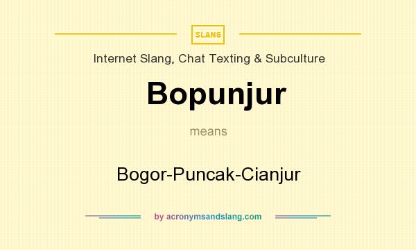 What does Bopunjur mean? It stands for Bogor-Puncak-Cianjur