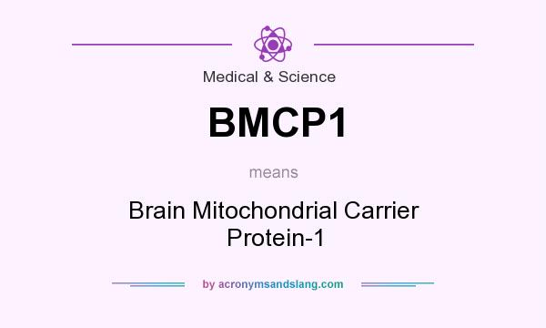 What does BMCP1 mean? It stands for Brain Mitochondrial Carrier Protein-1