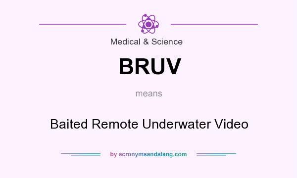 What does BRUV mean? It stands for Baited Remote Underwater Video