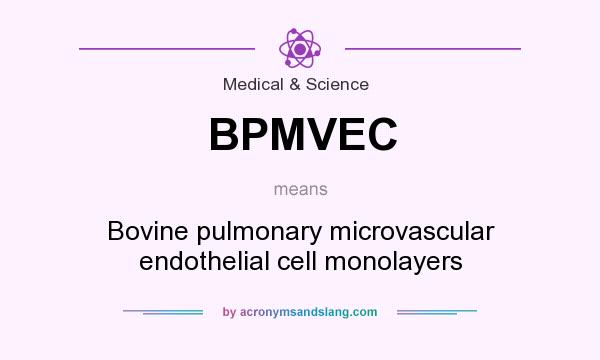 What does BPMVEC mean? It stands for Bovine pulmonary microvascular endothelial cell monolayers