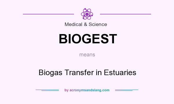 What does BIOGEST mean? It stands for Biogas Transfer in Estuaries