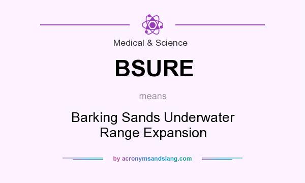 What does BSURE mean? It stands for Barking Sands Underwater Range Expansion