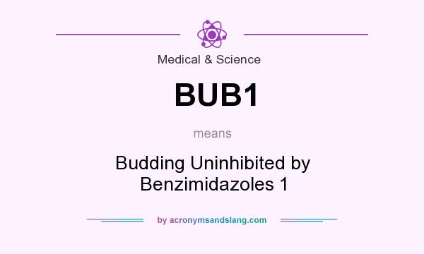 What does BUB1 mean? It stands for Budding Uninhibited by Benzimidazoles 1