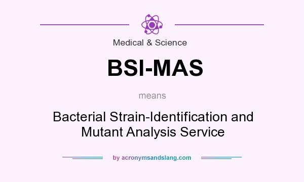 What does BSI-MAS mean? It stands for Bacterial Strain-Identification and Mutant Analysis Service