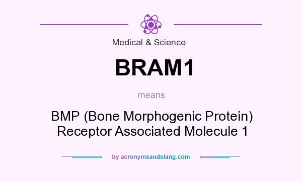 What does BRAM1 mean? It stands for BMP (Bone Morphogenic Protein) Receptor Associated Molecule 1