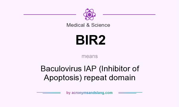 What does BIR2 mean? It stands for Baculovirus IAP (Inhibitor of Apoptosis) repeat domain