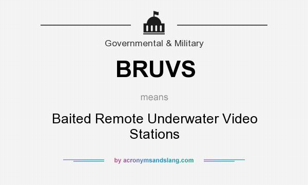 What does BRUVS mean? It stands for Baited Remote Underwater Video Stations