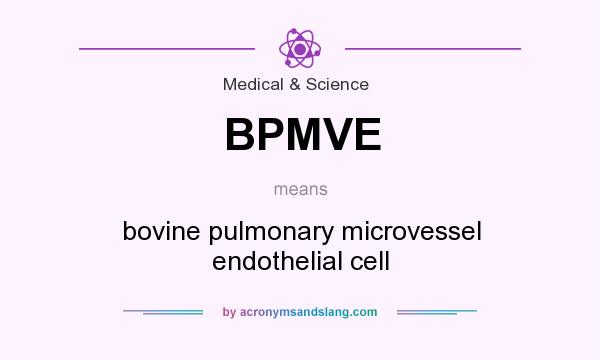What does BPMVE mean? It stands for bovine pulmonary microvessel endothelial cell