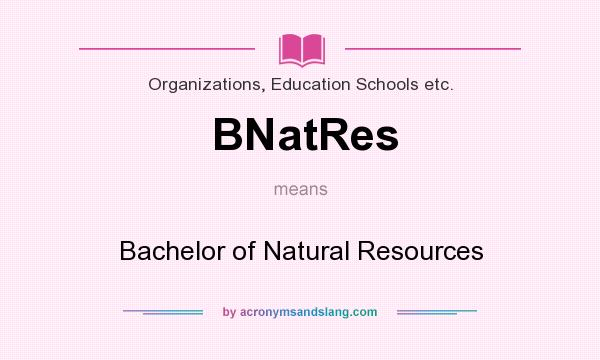 What does BNatRes mean? It stands for Bachelor of Natural Resources