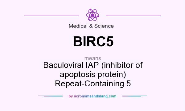What does BIRC5 mean? It stands for Baculoviral IAP (inhibitor of apoptosis protein) Repeat-Containing 5