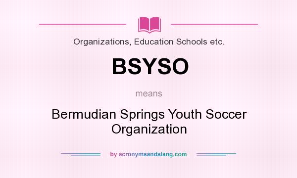 What does BSYSO mean? It stands for Bermudian Springs Youth Soccer Organization