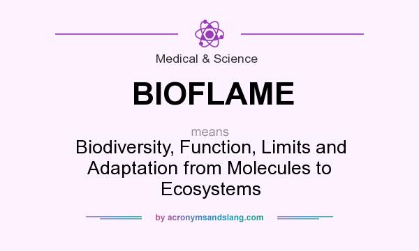 What does BIOFLAME mean? It stands for Biodiversity, Function, Limits and Adaptation from Molecules to Ecosystems