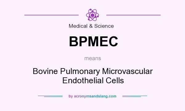 What does BPMEC mean? It stands for Bovine Pulmonary Microvascular Endothelial Cells