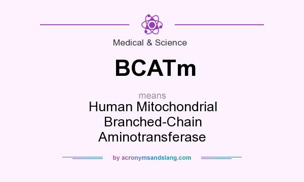 What does BCATm mean? It stands for Human Mitochondrial Branched-Chain Aminotransferase