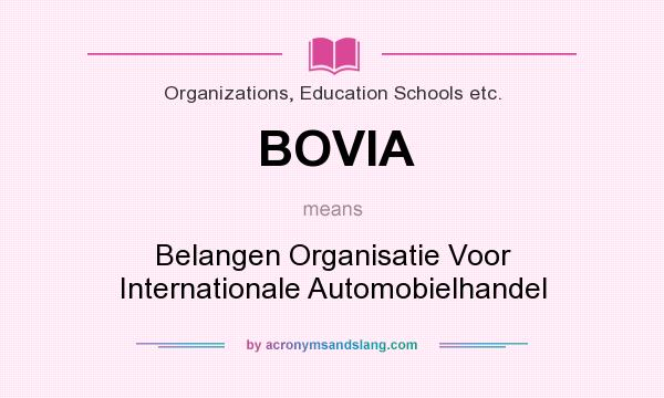 What does BOVIA mean? It stands for Belangen Organisatie Voor Internationale Automobielhandel