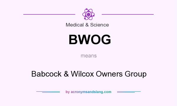What does BWOG mean? It stands for Babcock & Wilcox Owners Group