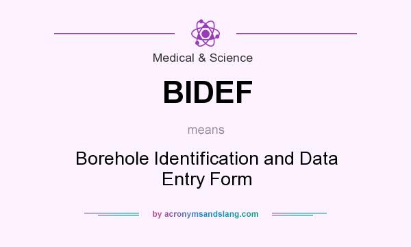 What does BIDEF mean? It stands for Borehole Identification and Data Entry Form