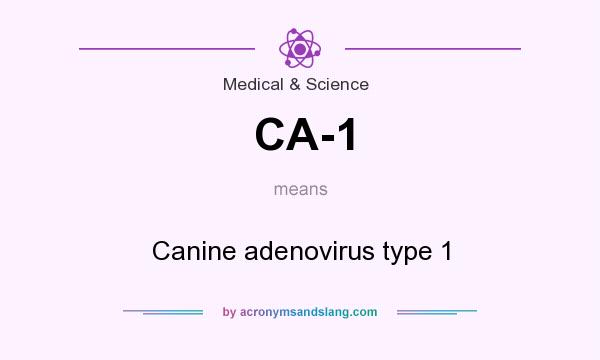 What does CA-1 mean? It stands for Canine adenovirus type 1