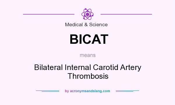 What does BICAT mean? It stands for Bilateral Internal Carotid Artery Thrombosis