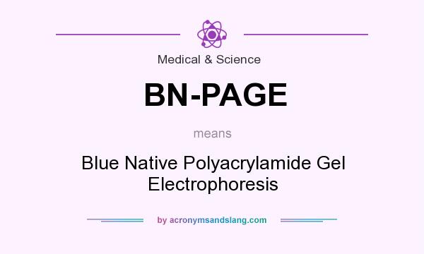 What does BN-PAGE mean? It stands for Blue Native Polyacrylamide Gel Electrophoresis