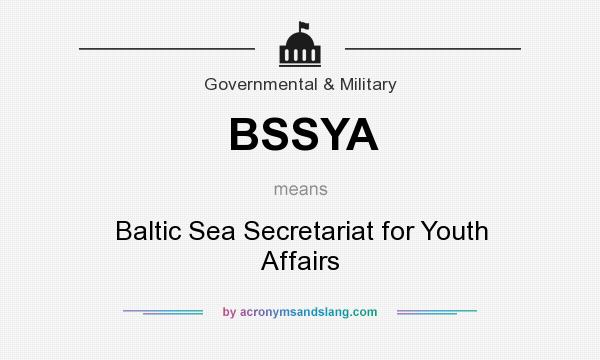 What does BSSYA mean? It stands for Baltic Sea Secretariat for Youth Affairs