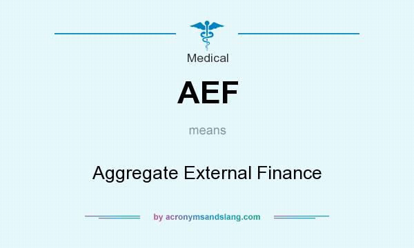 What does AEF mean? It stands for Aggregate External Finance
