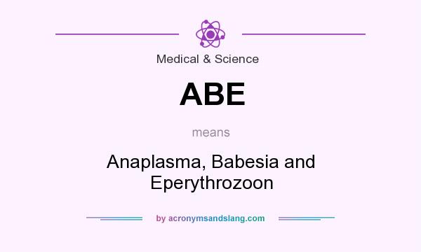 What does ABE mean? It stands for Anaplasma, Babesia and Eperythrozoon