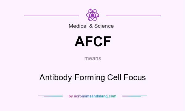 What does AFCF mean? It stands for Antibody-Forming Cell Focus