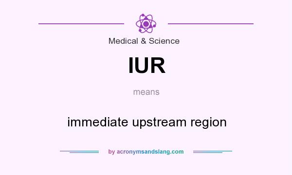 What does IUR mean? It stands for immediate upstream region