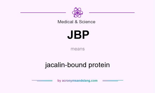 What does JBP mean? It stands for jacalin-bound protein