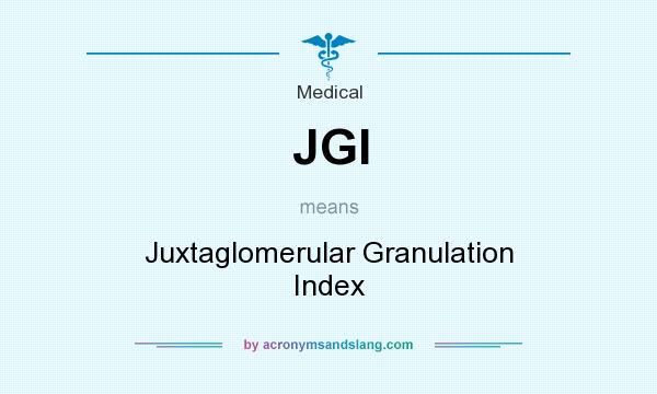 What does JGI mean? It stands for Juxtaglomerular Granulation Index
