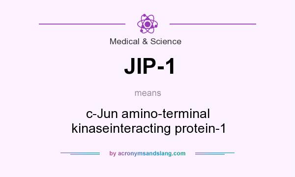 What does JIP-1 mean? It stands for c-Jun amino-terminal kinaseinteracting protein-1