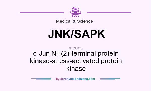 What does JNK/SAPK mean? It stands for c-Jun NH(2)-terminal protein kinase-stress-activated protein kinase