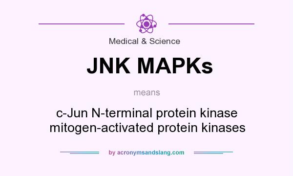 What does JNK MAPKs mean? It stands for c-Jun N-terminal protein kinase mitogen-activated protein kinases