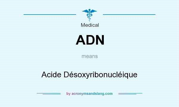 What does ADN mean? It stands for Acide Désoxyribonucléique
