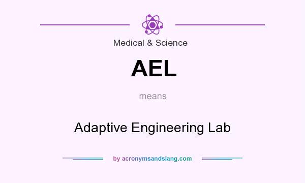 What does AEL mean? It stands for Adaptive Engineering Lab