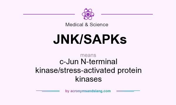 What does JNK/SAPKs mean? It stands for c-Jun N-terminal kinase/stress-activated protein kinases