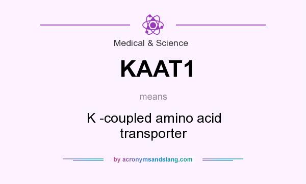 What does KAAT1 mean? It stands for K -coupled amino acid transporter