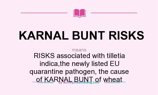 What does KARNAL BUNT RISKS mean? It stands for RISKS associated with tilletia indica,the newly listed EU quarantine pathogen, the cause of KARNAL BUNT of wheat