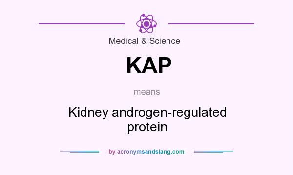 What does KAP mean? It stands for Kidney androgen-regulated protein