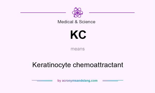 What does KC mean? It stands for Keratinocyte chemoattractant
